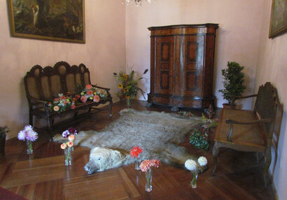 Rájecké jiřiny, letní květinová výstava 2013